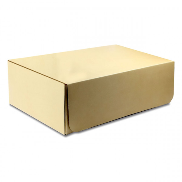 Papp-Austauschbox (für R14010)