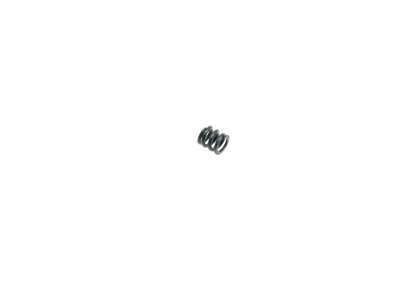 Robitronic Slipper Spring