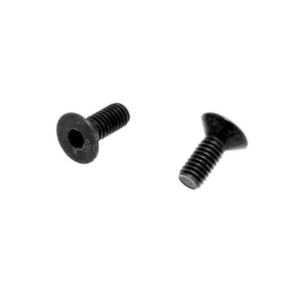 Zenoah screws for transfer port cover (2 pcs)
