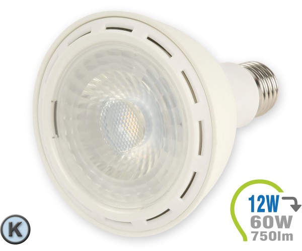 E27 LED Lampe 12W Spot PAR30 Kaltweiß