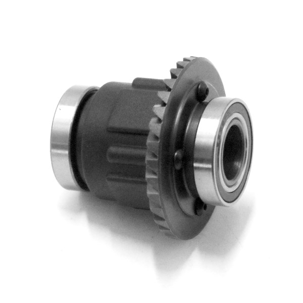Yikong Differential hinten komplett
