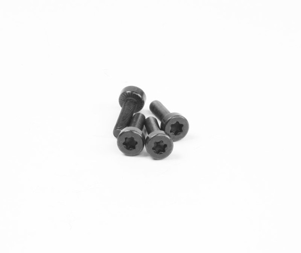 Chung Yang Schraube M5x20mm 4 Stk. (Zylinder / Isolator / Fan Abdeckung