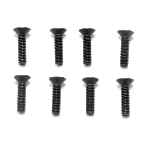 Flat Head Screws