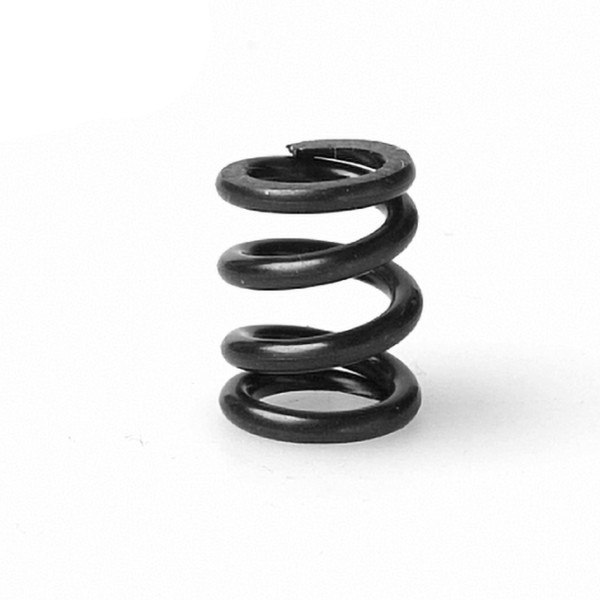 PR Racing sb401-Slipper Spring
