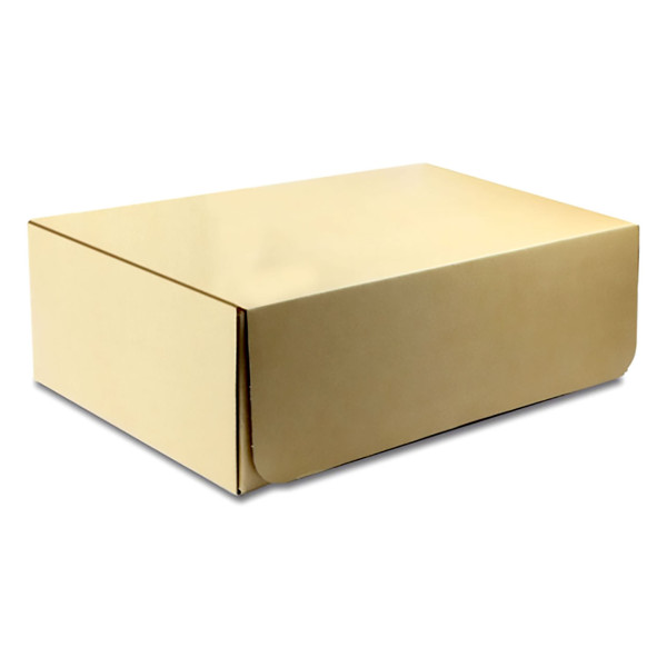 Robitronic Papp-Austauschbox (für R14010)