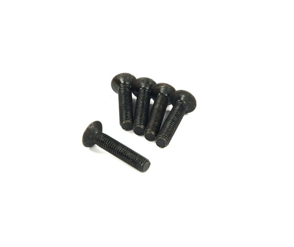 Tourrex Screw for Big-Speed M6 (5 pcs.)