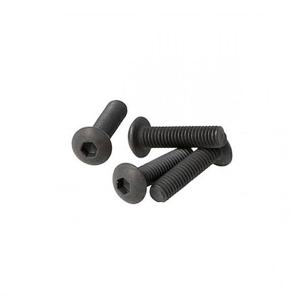 Button Head Cap Screw M3 x 12mm (4)