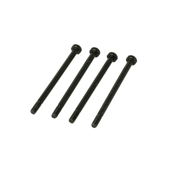 Querlenkerstifte Dune Racer Pro/Evolution X 4 Stück