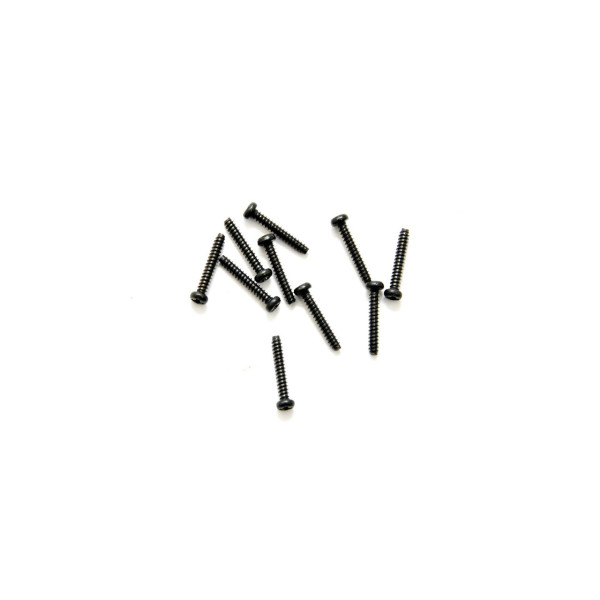 HoBao Flachkopfschraube M2x12mm (10 Stk.)